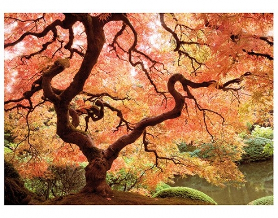 le-cadeau - Papiertapete Japanischer Garten